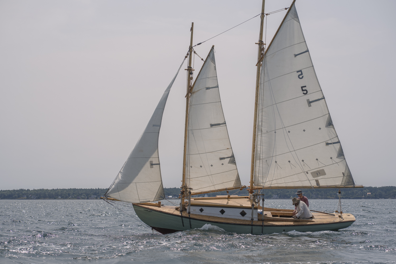 photo by Collette Robertson