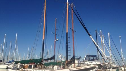 SEA RAVEN, a schooner version of William Garden's Porpoise design.
