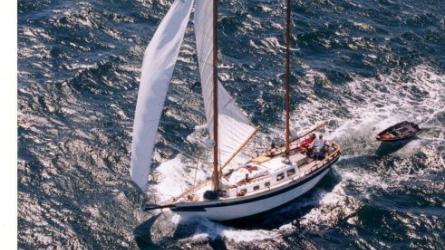 FROLIC frolicing in Jericho Bay, Maine