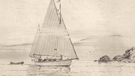 SHEILA pictured by Robert Groves
