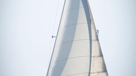 Finishing the race 2024