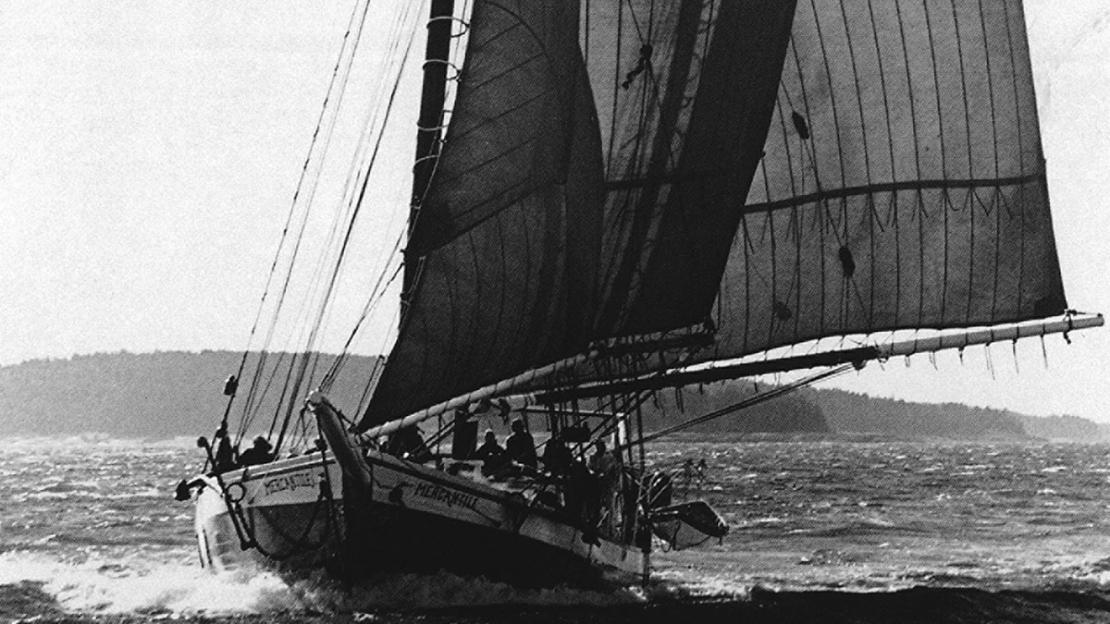 The schooner MERCANTILE