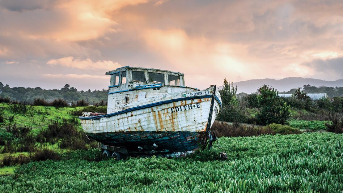 Wooden boats rotting