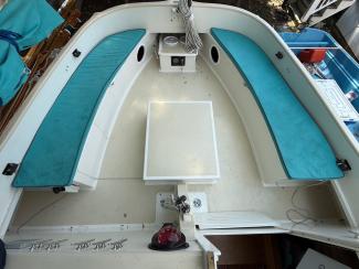 AREY'S XFC 22' CAT, view of deck