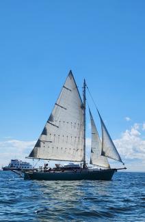 Atkin 30' Gaff-Cutter WindRose 1979, in water sails up