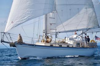 43' Double Ended Edson Schock Ketch, undersail