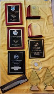 Awards received by THE SHEIK 2017-2023