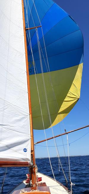 1936  "TUMLAREN" #59 SVEK, undersail view looking towards bow