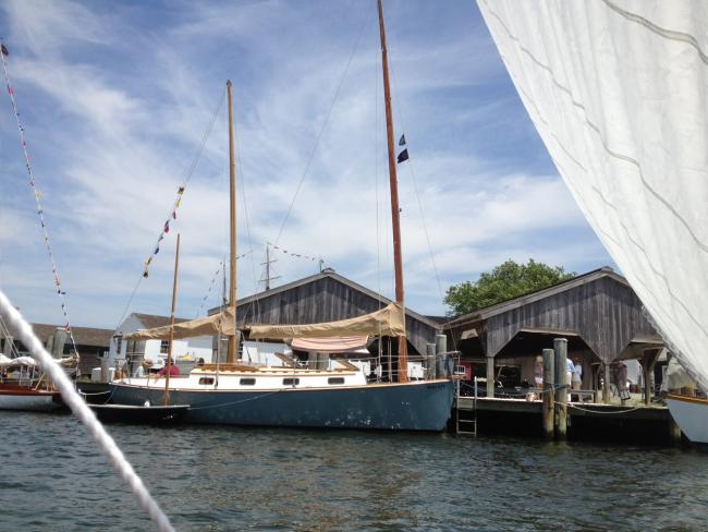 Herreshoff H-31 Cat Ketch sv/Dovetail, in water