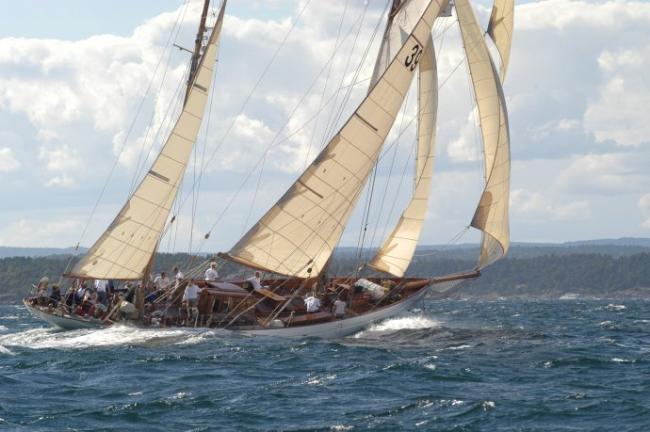 Classic Yacht Regatta in Norway