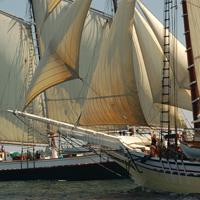 The Maine Great Schooner Race. "Jousting" photo by Neil M. Shively. 