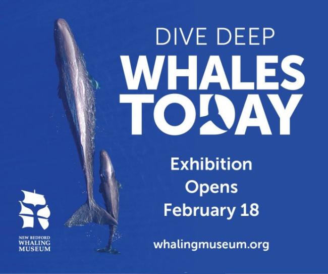 Opening: Whales Today Exhibit