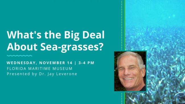 Lecture: What's the Big Deal About Seagrasses?