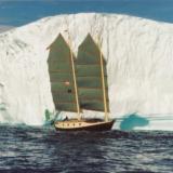 Badger sailing off Greenland