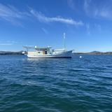 Biloxi Lugger "Southern Grace", moored in water starboard side view