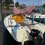 Didi Cruise Mini, docked in water stern view 