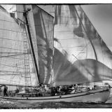 DIRIGO II, 2015 AMERICA's Schooner Cup Regatta. Photo by Darrall Slater ©Bayshots.com