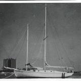 INDIA, a Crocker Sea Dawn schooner. 