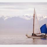 LOTUS, waiting for the start, 2008 Swiftsure Classic. Photo: Bruce Baycroft.