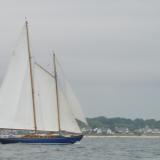 Schooner MYA under sail