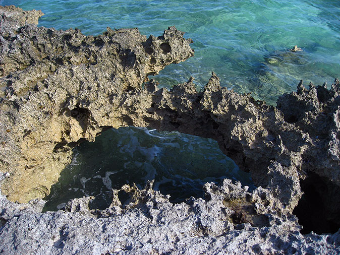 Coral sandstone.